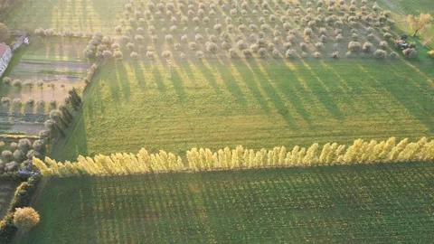 Green fields at sunset Stock Footage 143380177