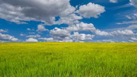 Green fields time lapse scene Stock Footage 276183005