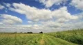 Green Fields towards Ruined Abbey with Fast Moving Clouds, Ireland GFHD HD Footage