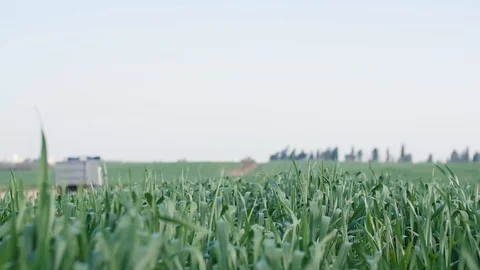Green Fields Track Stock Footage 86014708