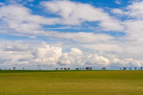 Green fields with trees along road on horizon under large clouds. Early spr.. Stock Photos