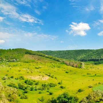 Green fields with trees and shrubs. There are beautiful clouds on the blue sk Foto stock