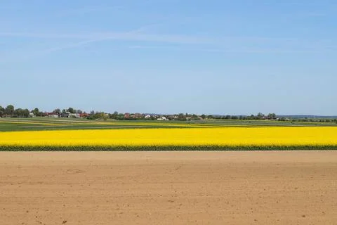 Green Fields Under a Clear Blue Sky Rural Spring Landscape Stock Photos