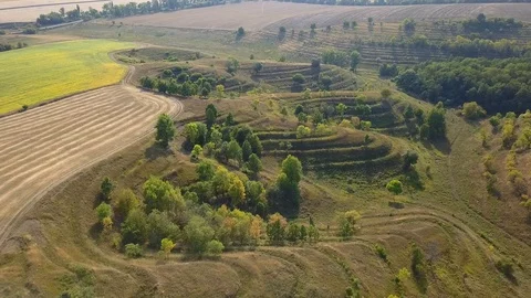 Green fields of unusual shape. Aerial view Stock-Footage 117420775