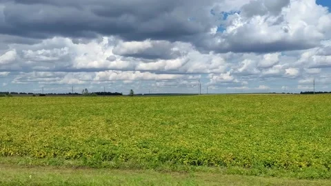 Green fields, view of roadside from car passenger seat. Road trip concept. Video stock 166107581