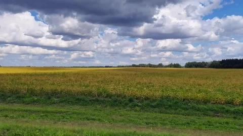 Green fields, view of roadside from car passenger seat. Road trip concept. Video stock 166107656