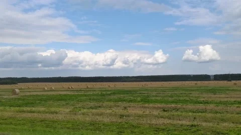 Green fields, view of roadside from car passenger seat. Road trip concept. Stock Footage 166107688