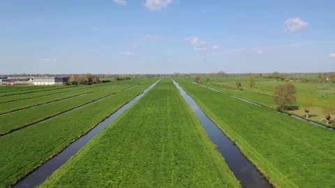 Green fields with water and trees in the countryside Stock Footage 153047677
