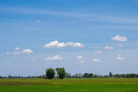 Green fields witch Cloud on sky background in day time, Naturel background Stock Photos