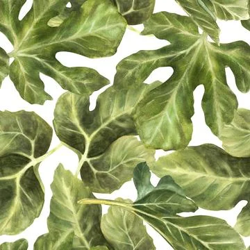 Green fig leaves of different shapes seamless pattern. Watercolor plant Stock Illustration