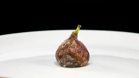 Green Fig Rotting on White Plate Background. Time Lapse Shot of Brown Berry.. Stock Footage 346551815