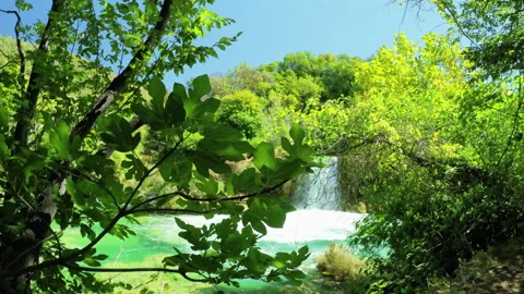 Green fig tree in the foreground and a small waterfall with turquoise water in Stock Footage 195172612