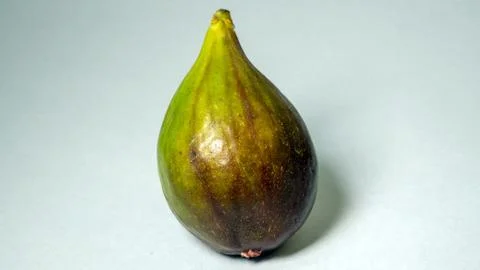 Green figs, one fruit on a light gray background Stock Photos