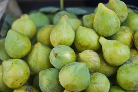 Green figs Stock Photos
