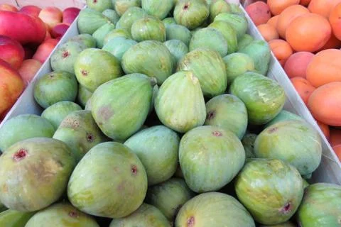 Green figs Stock Photos