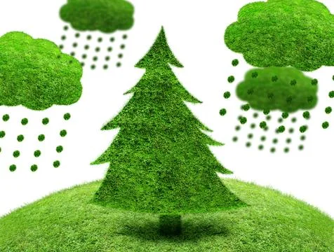 Green fir tree on a patch of grass Stock Illustration