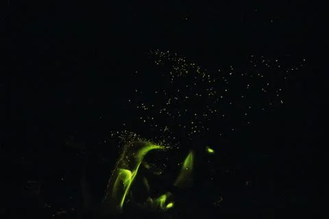 Green fire at night Stock Photos