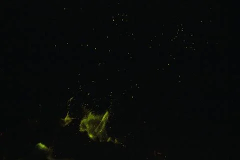 Green fire at night Foto stock