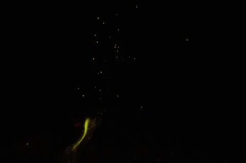 Green fire at night Stock Photos
