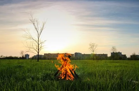 Green fire Stock Photos