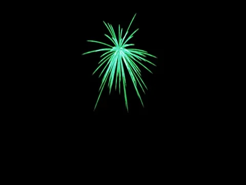 Green Firework Stock Footage 73618119
