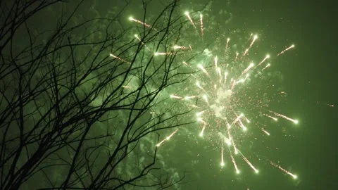 Green Fireworks Explode Behind Bare Tree Branches Silhouette at Night Vídeos de archivo 337415036