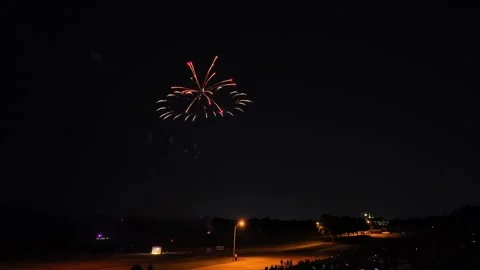 Green fireworks exploding in night sky above park 库存影片 340938961