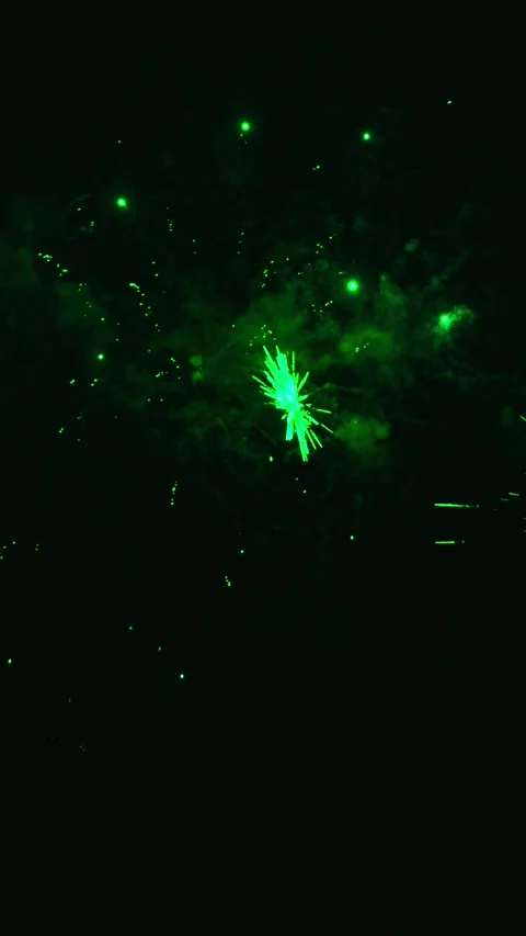Green fireworks exploding in the night sky Video stock 343160190