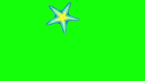 Green Fish and Tree and Star and Screen Green Screen Stock Footage 339332559