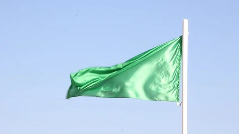 Green Flag on the Beach 스톡 동영상 135448343