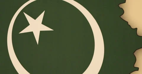 Green Flag Decoration in a office Stock Footage 288630636
