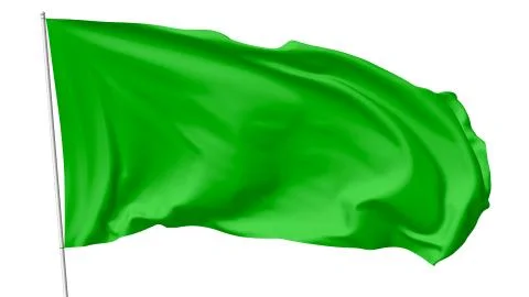 Green flag on flagpole Stock Illustration