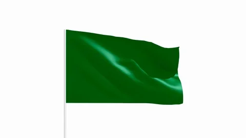 Green flag Stock Footage 99792993