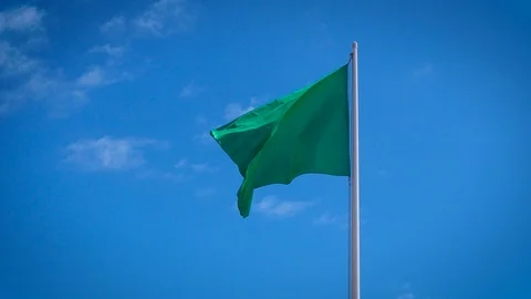 Green flag isolated waving on the sky Stock Footage 113483519