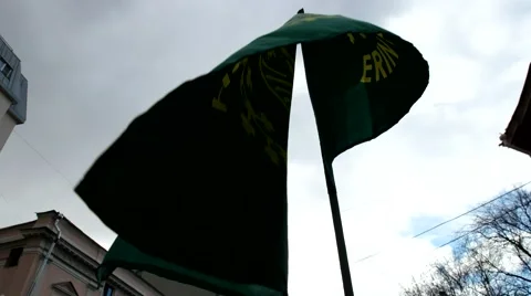 Green flag over a massive crowd, Carnival St Patrick's  in Moscow Video stock 66517114