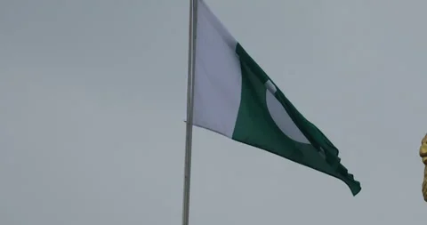 Green Flag with Star Stock Footage 288118505