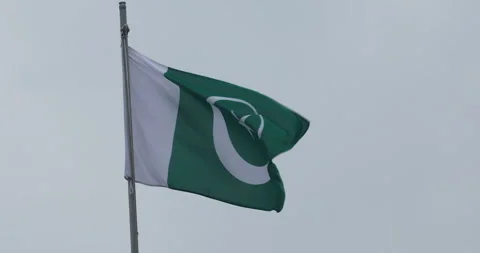 Green Flag with Star Stock Footage 288119158