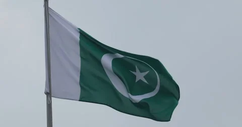 Green Flag with Star Stock Footage 288119178