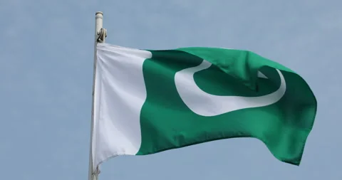 Green Flag with Star Stock Footage 288122144