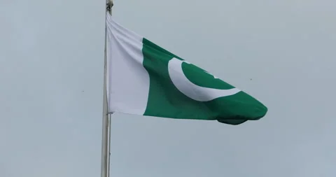 Green Flag with Star Stock Footage 288122865