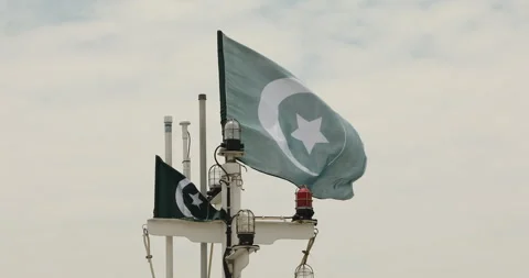 Green Flag with Star Stock Footage 326283650