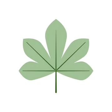 Green flat leaf minimal illustration design concept Stock Illustration
