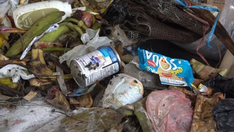 Green flies crawling on a pile of garbage. Asian dump. waste sorting. container. Stock Footage 127368805