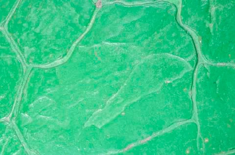 Green floor Stock Photos