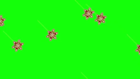 Green Flower and Screen on Green Screen Background Horizontal 16:9 Video stock 339332944