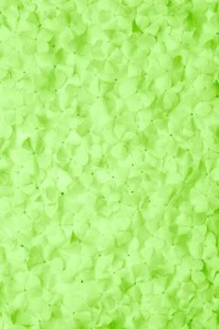 Green flower background Stock Photos
