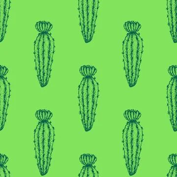 Green Flower Cactus Seamless Pattern Illustrazione stock