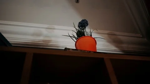 Green flower Stock Footage 119521293