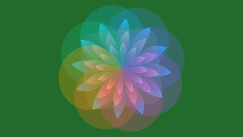 Green Flower on Green Screen Background Horizontal 16:9 Stock Footage 339330032