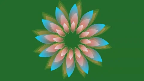 Green Flower on Green Screen Background Horizontal 16:9 Stock-Footage 339330044